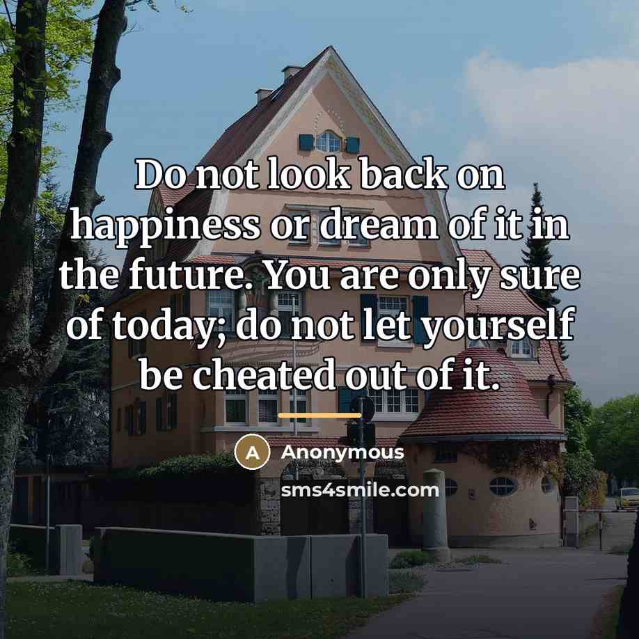 “Do not look back on happiness or dream of it…” quote by Anonymous