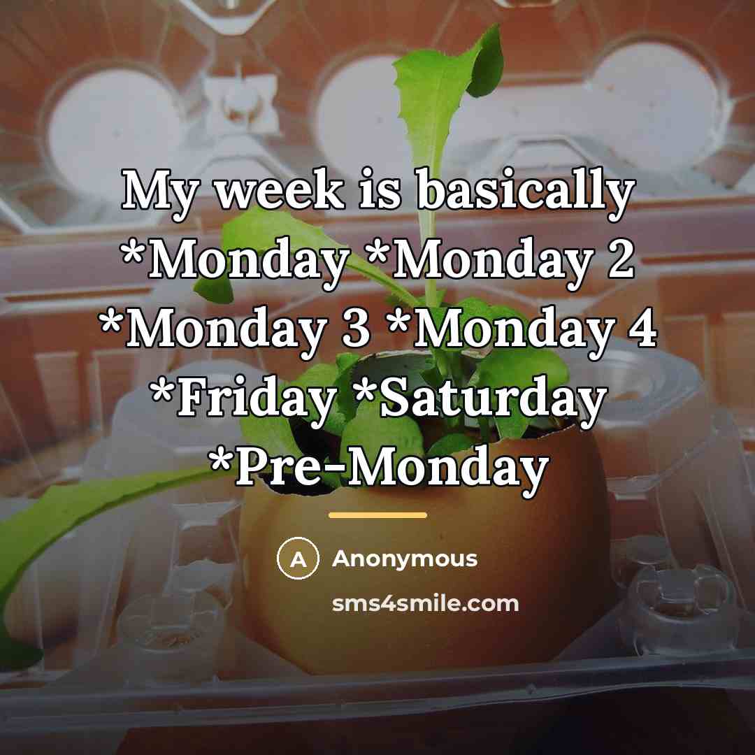 “My week is basically *Monday *Monday 2 *Monday 3 *Monday…” quote by Anonymous