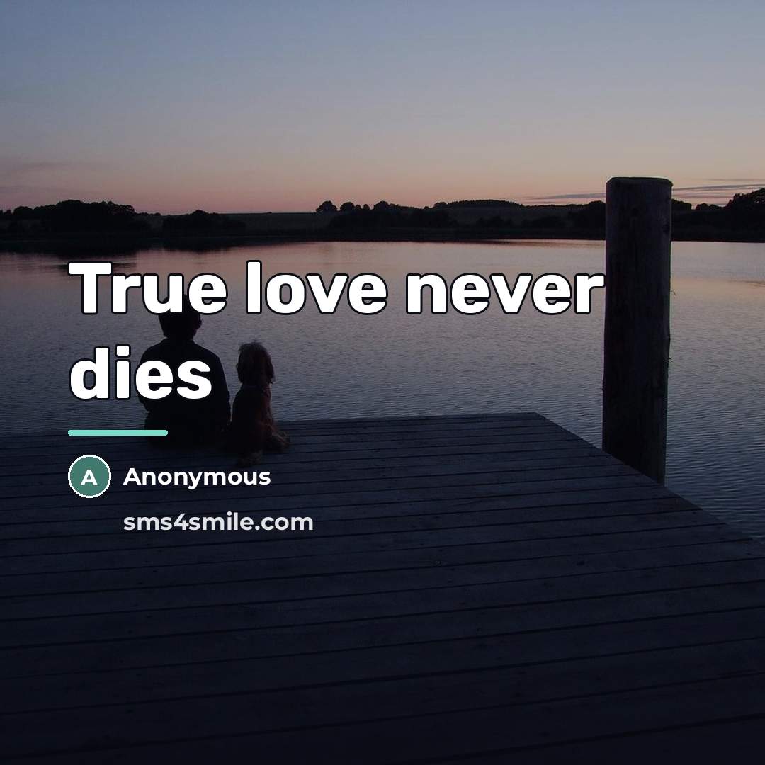“True love never dies…” quote by Anonymous