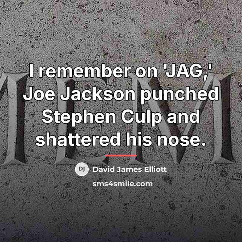 “I remember on 'JAG,' Joe Jackson punched Stephen Culp and…” quote by David James Elliott