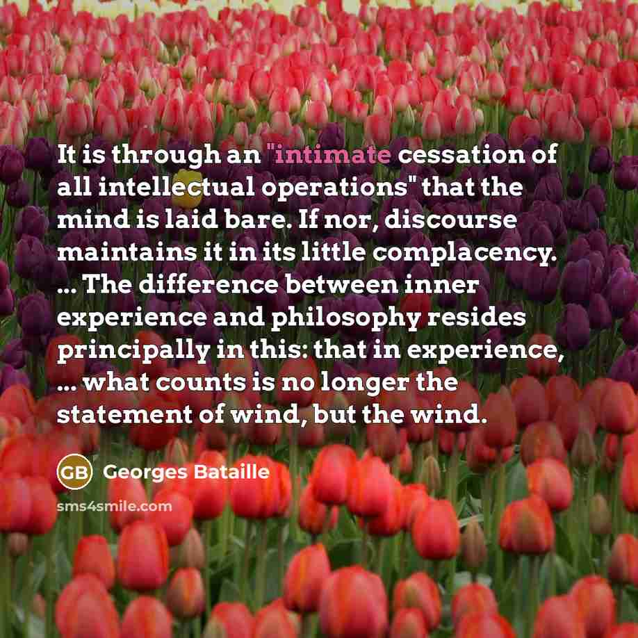 “It is through an "intimate cessation of all intellectual operations"…” quote by Georges Bataille