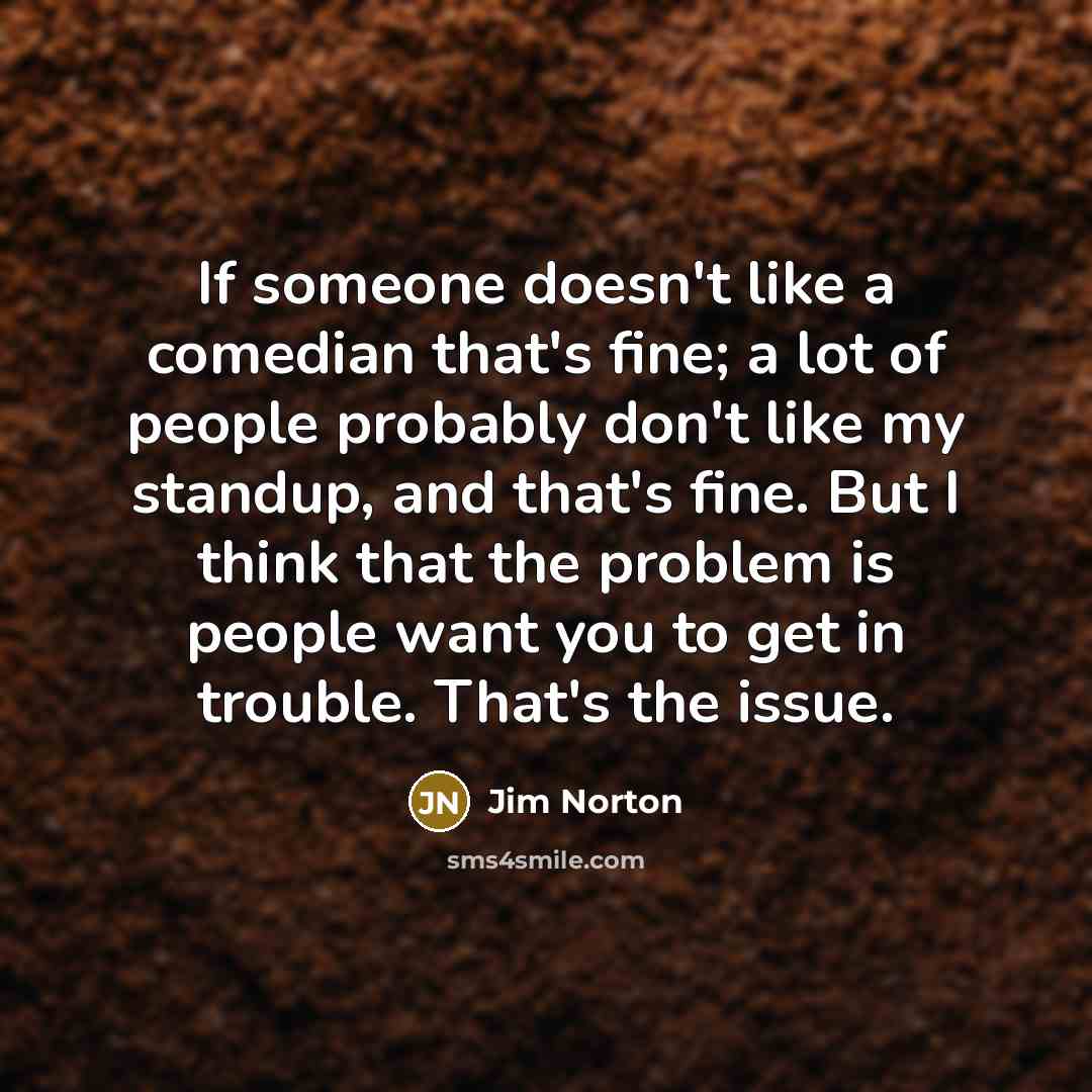 “If someone doesn't like a comedian that's fine; a lot…” quote by Jim Norton