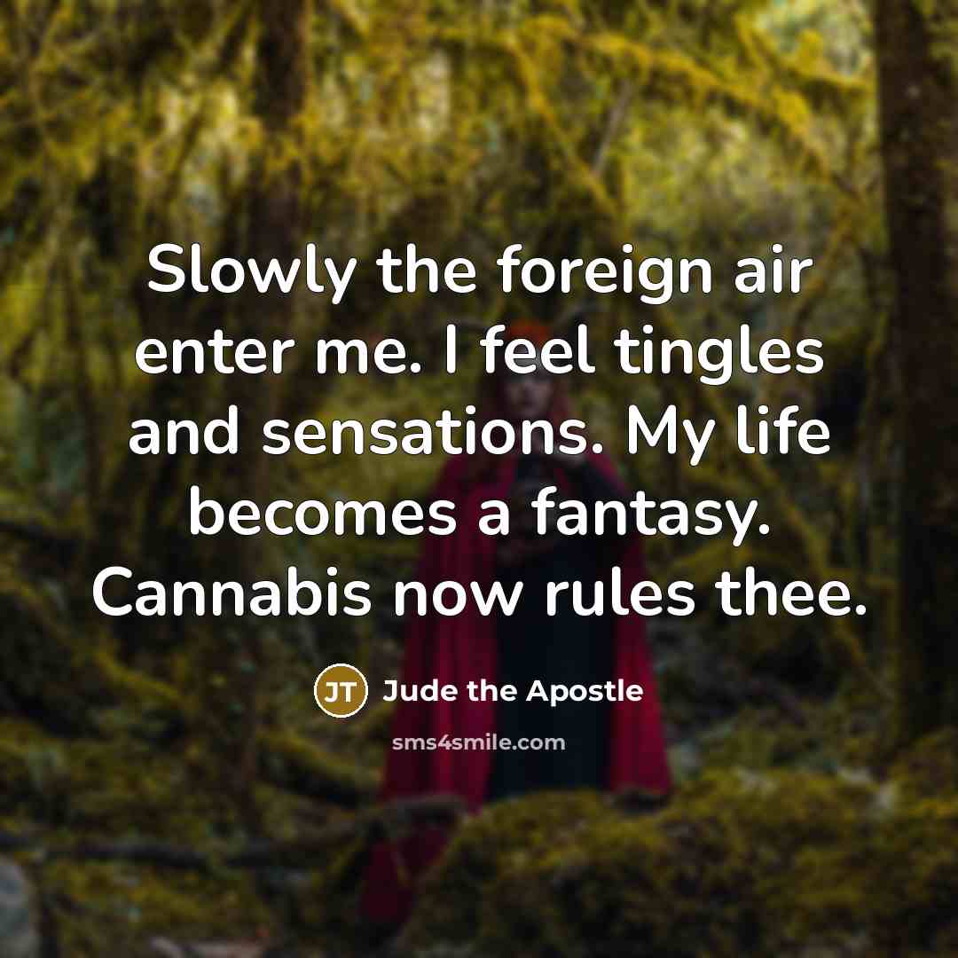 “Slowly the foreign air enter me. I feel tingles and…” quote by Jude the Apostle