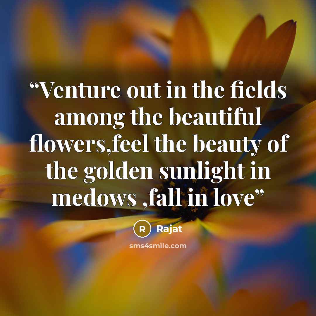 “Venture out in the fields among the beautiful flowers,feel the beauty of the golden sunlight in medows ,fall in love” quote by Rajat