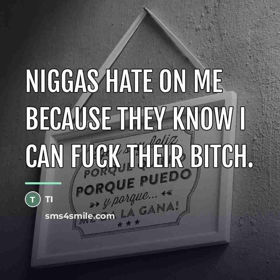 “Niggas hate on me because they know I can fuck…” quote by TI