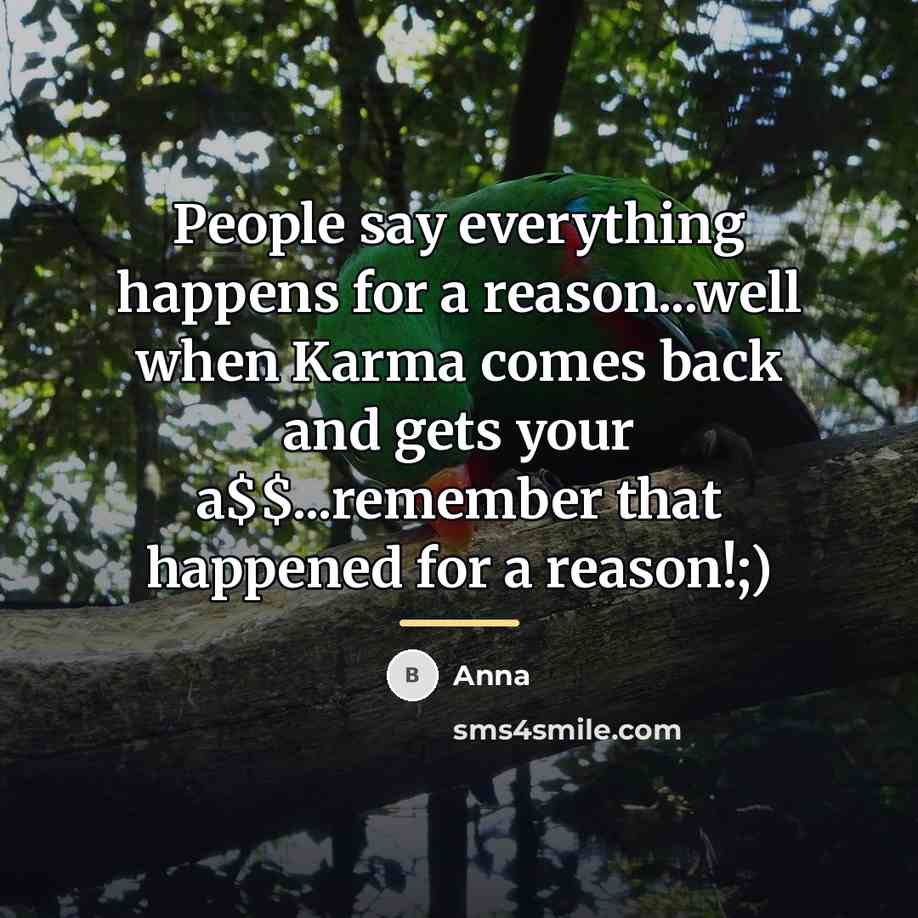 “People say everything happens for a reason...well when Karma comes…” quote by Anna