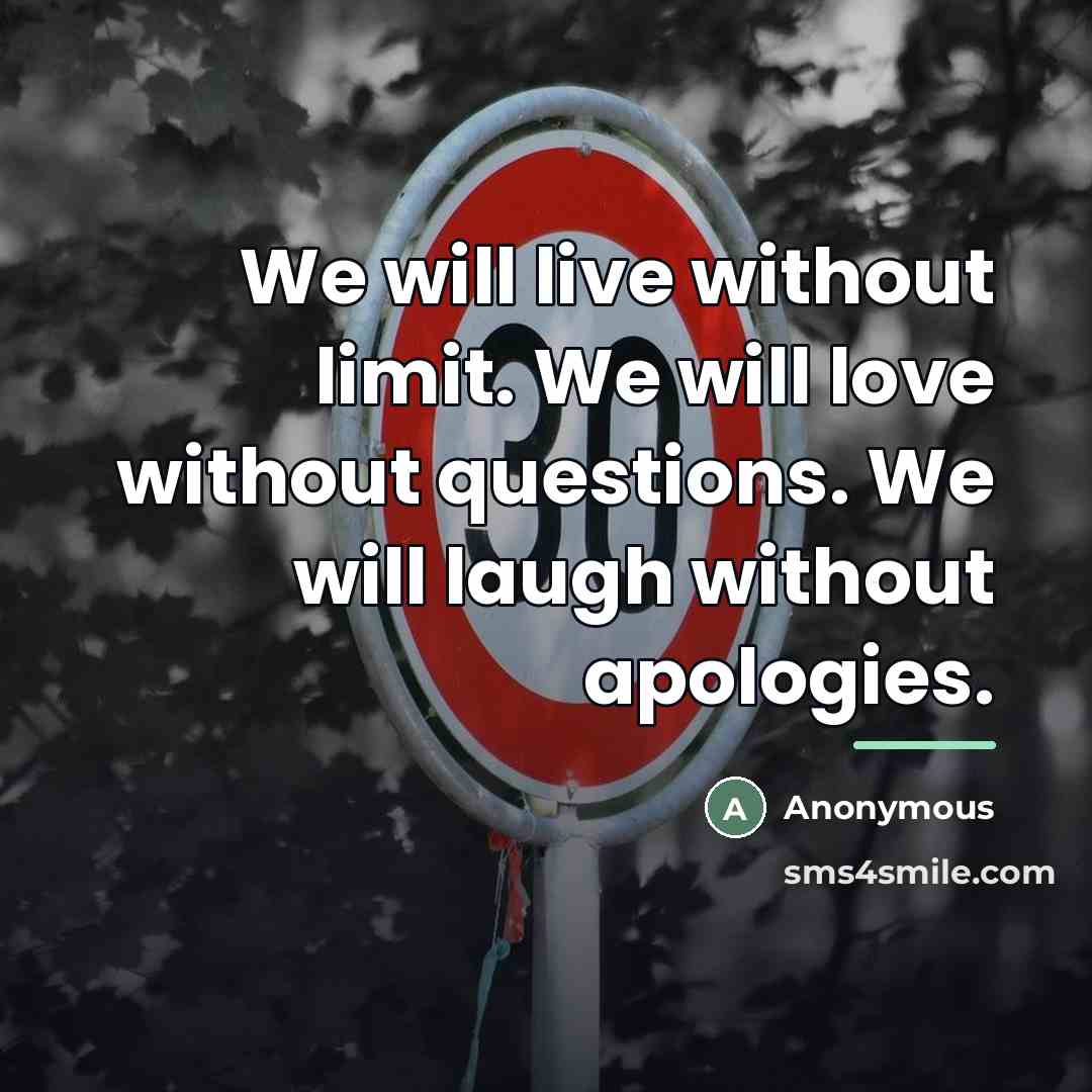 “We will live without limit. We will love without questions.…” quote by Anonymous