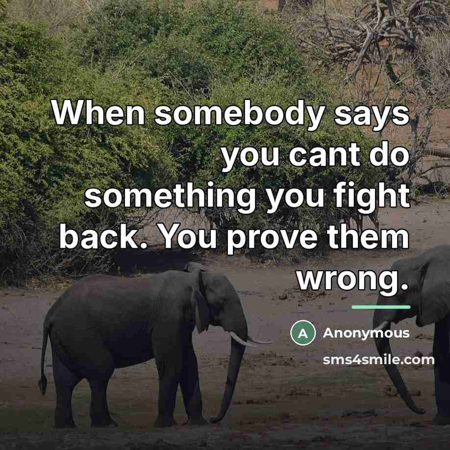 “When somebody says you cant do something you fight back.…” quote by Anonymous