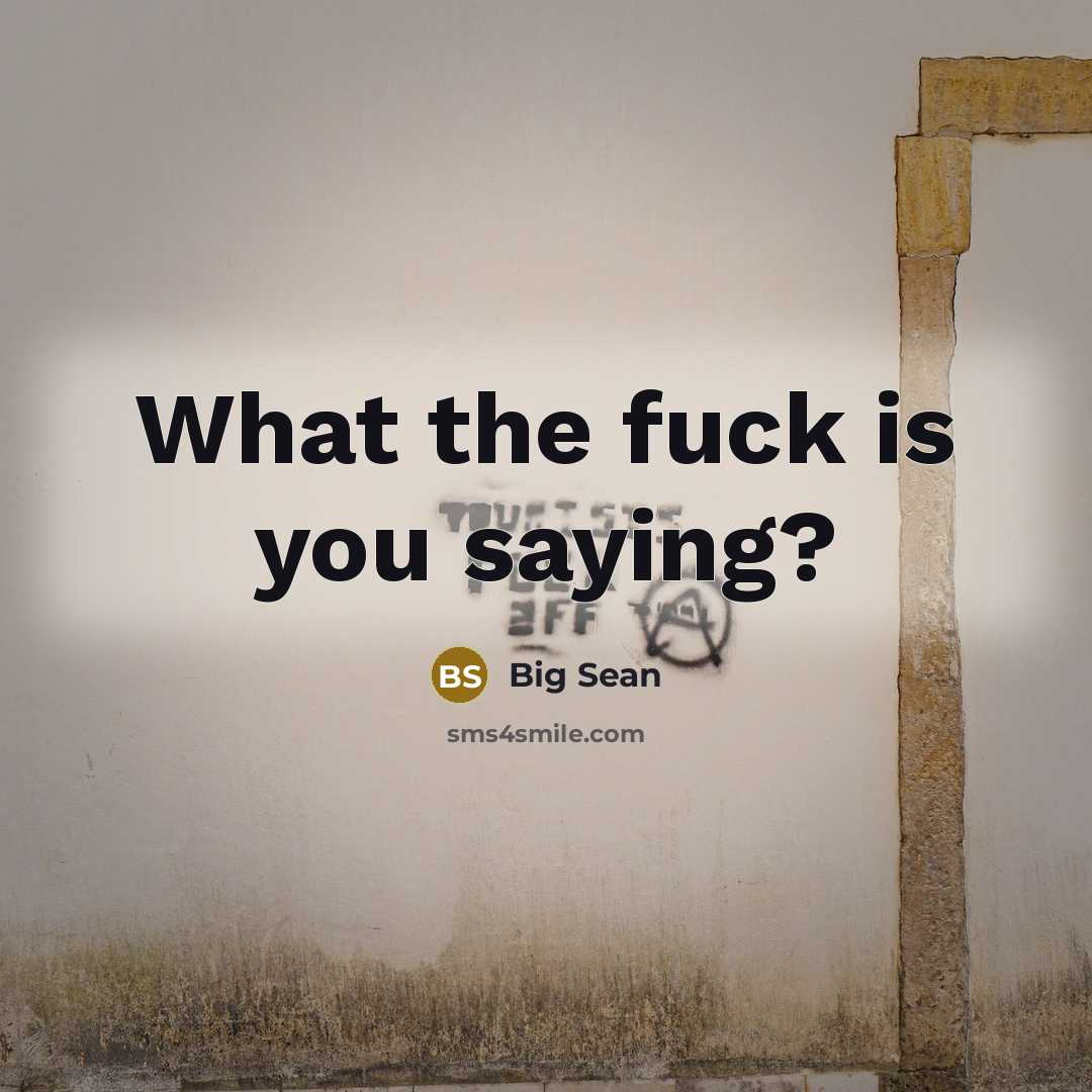 “What the fuck is you saying?” quote by Big Sean