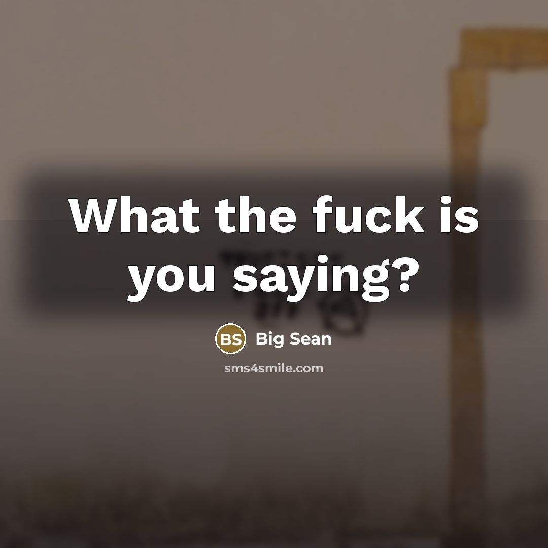 “What the fuck is you saying?…” quote by Big Sean