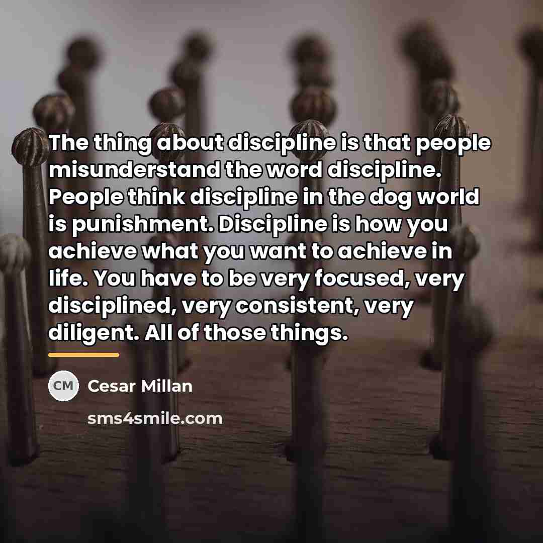 “The thing about discipline is that people misunderstand the word…” quote by Cesar Millan