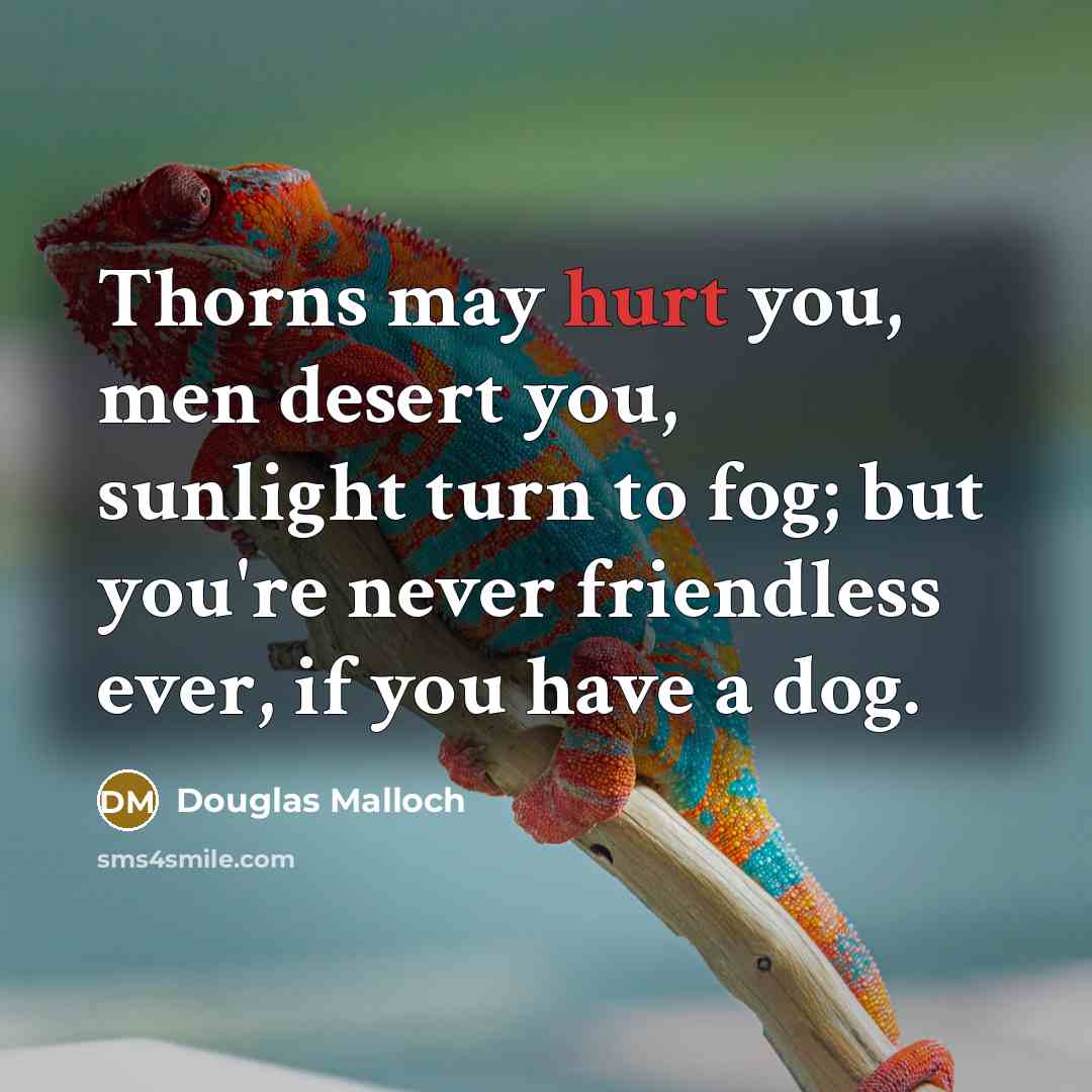 “Thorns may hurt you, men desert you, sunlight turn to…” quote by Douglas Malloch