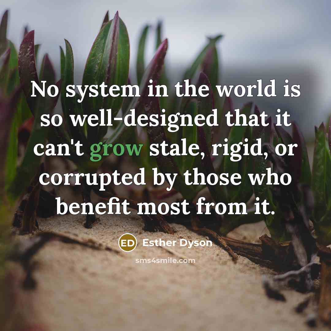 “No system in the world is so well-designed that it…” quote by Esther Dyson