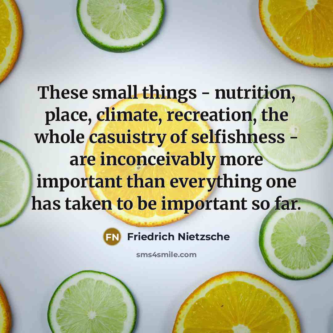 “These small things - nutrition, place, climate, recreation, the whole…” quote by Friedrich Nietzsche