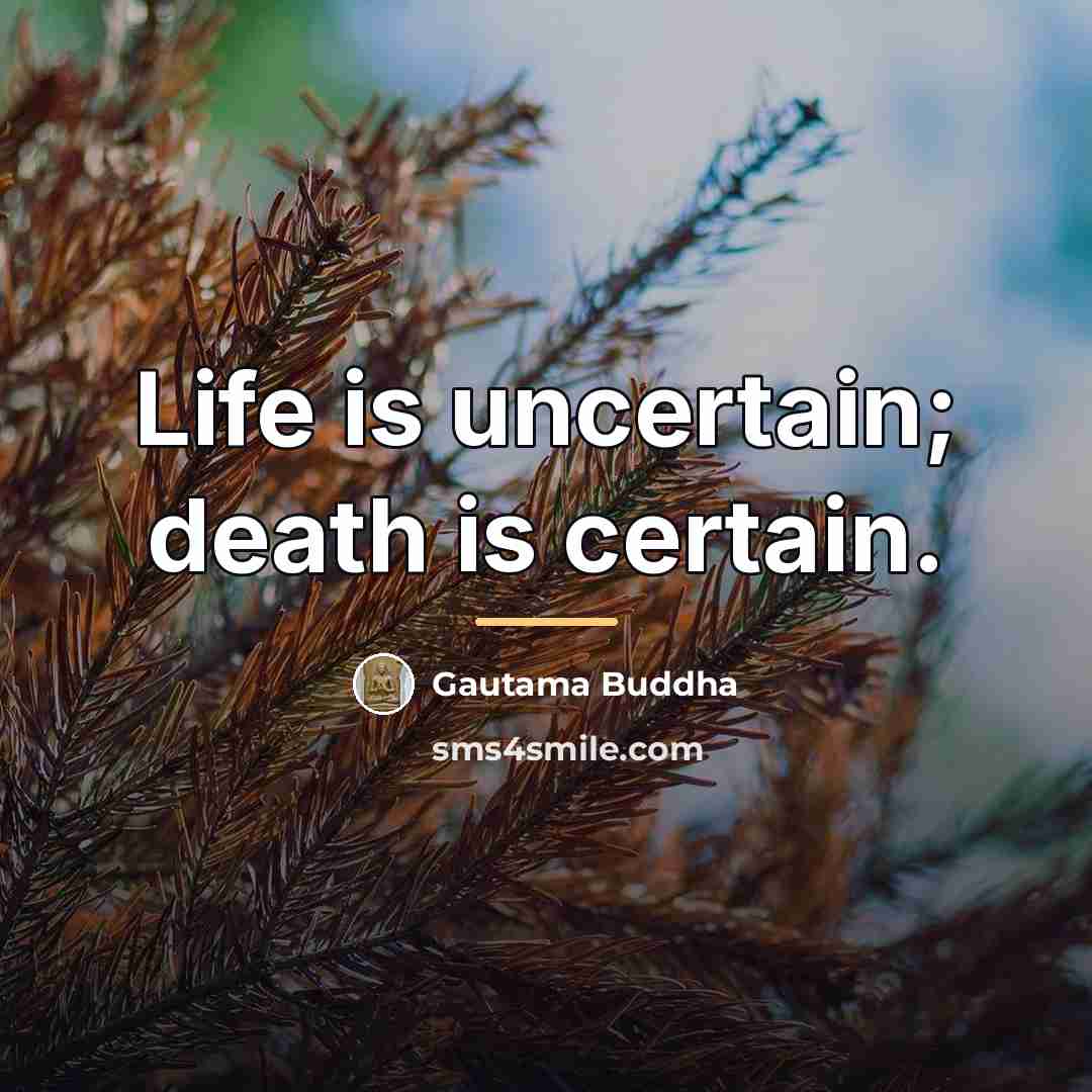 “Life is uncertain; death is certain.…” quote by Gautama Buddha