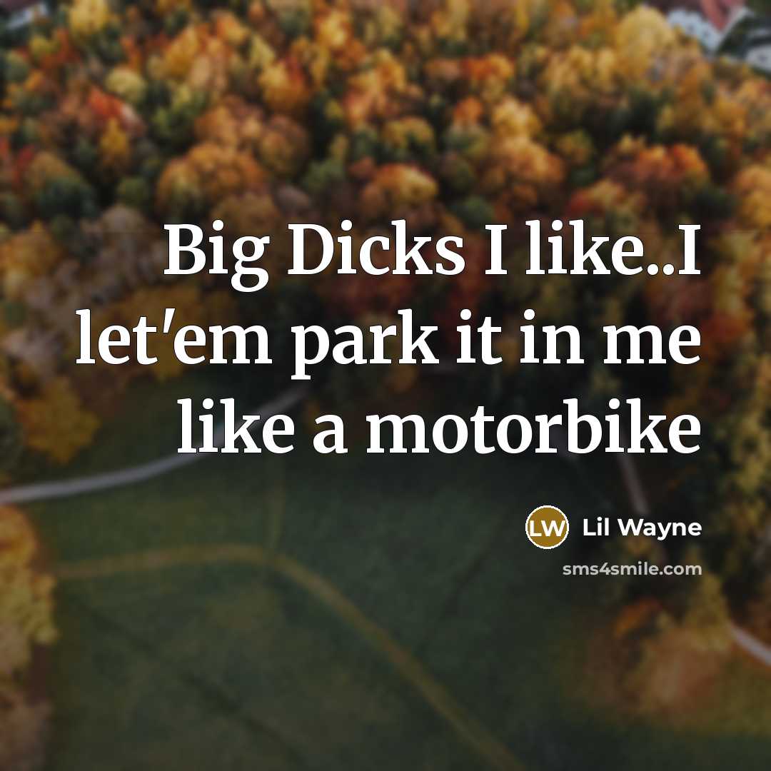 “Big Dicks I like..I let'em park it in me like…” quote by Lil Wayne