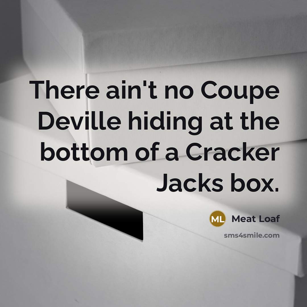 “There ain't no Coupe Deville hiding at the bottom of…” quote by Meat Loaf