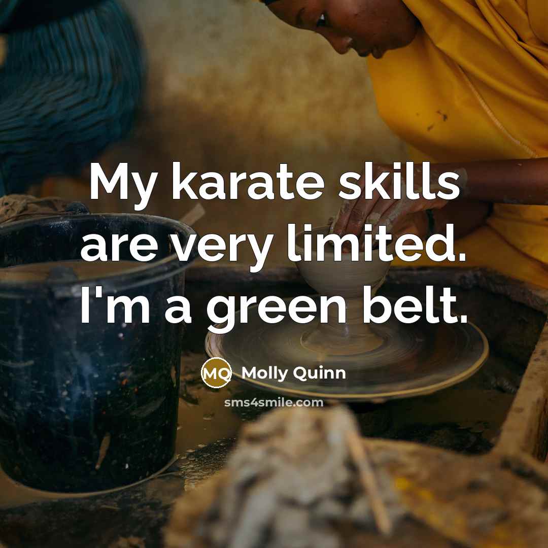 “My karate skills are very limited. I'm a green belt.…” quote by Molly Quinn