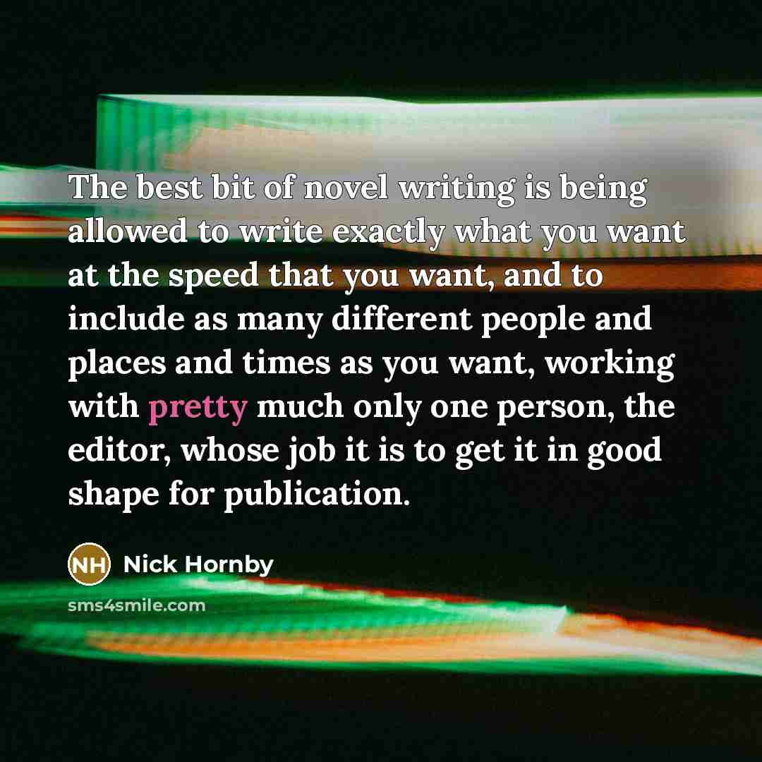 “The best bit of novel writing is being allowed to…” quote by Nick Hornby