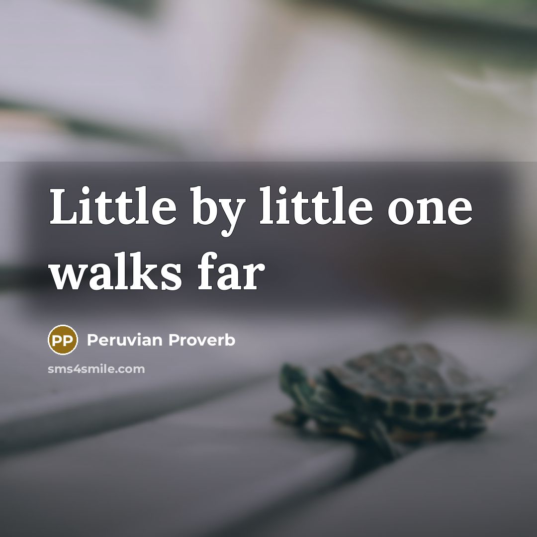 “Little by little one walks far” quote by Peruvian Proverb