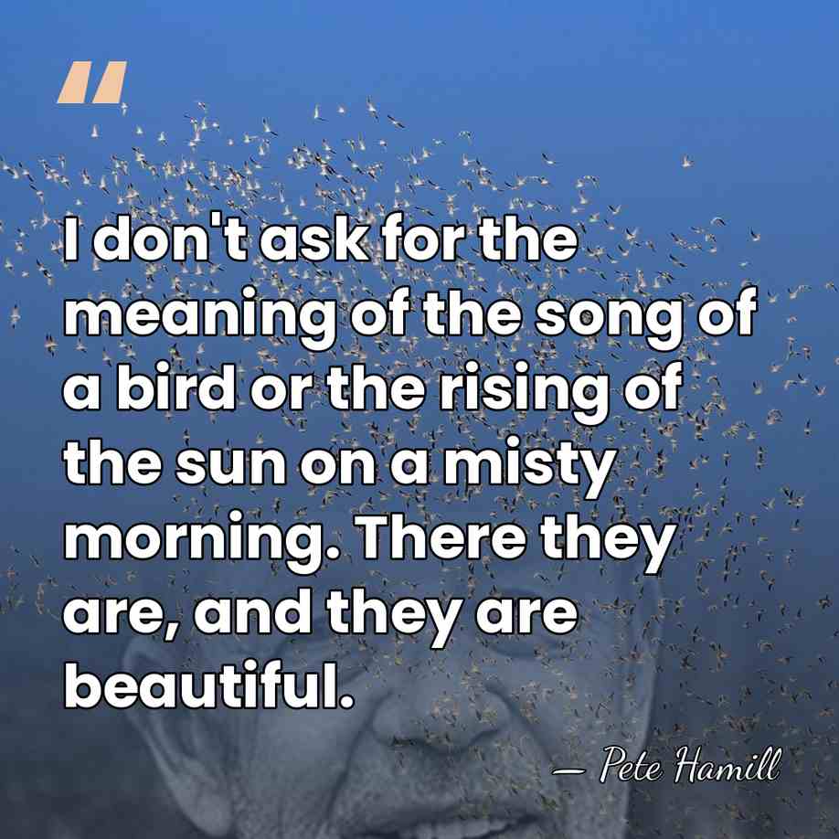 I don't ask for the meaning of the song of a bird&hellip; - Pete Hamill