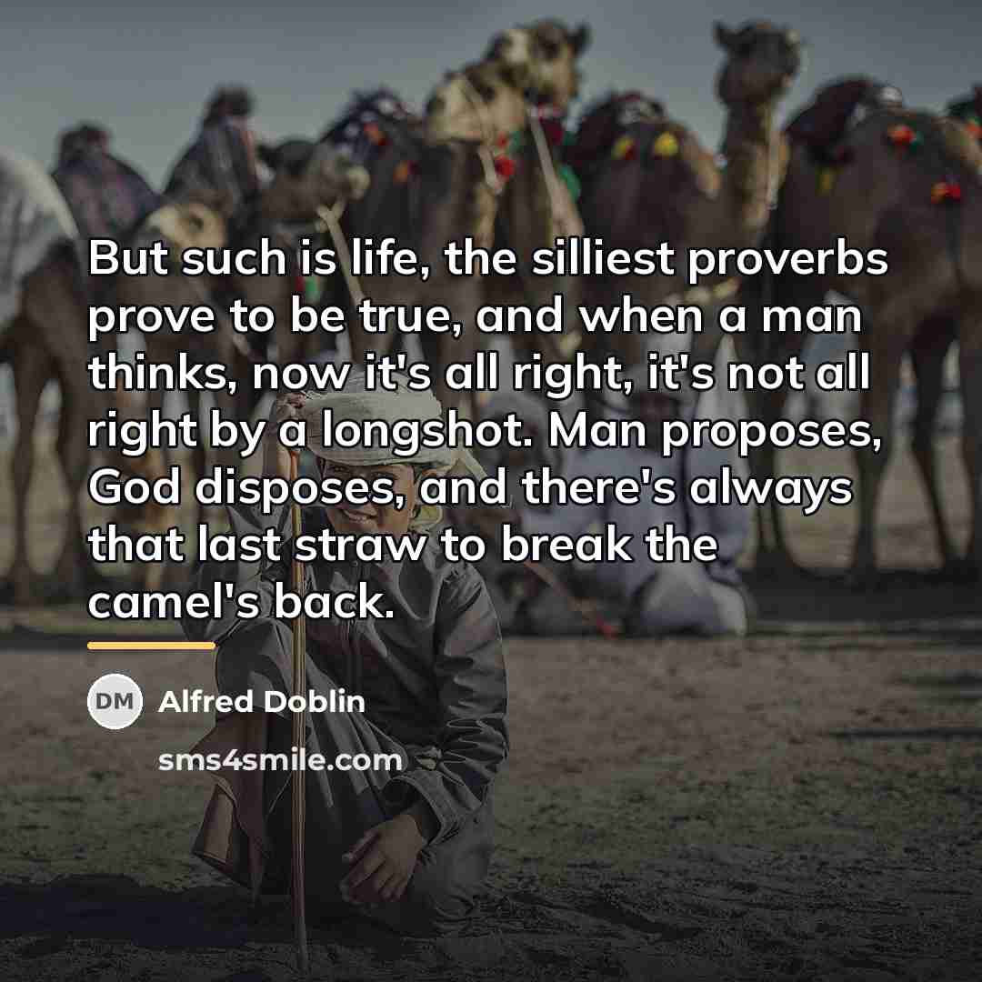 “But such is life, the silliest proverbs prove to be…” quote by Alfred Doblin