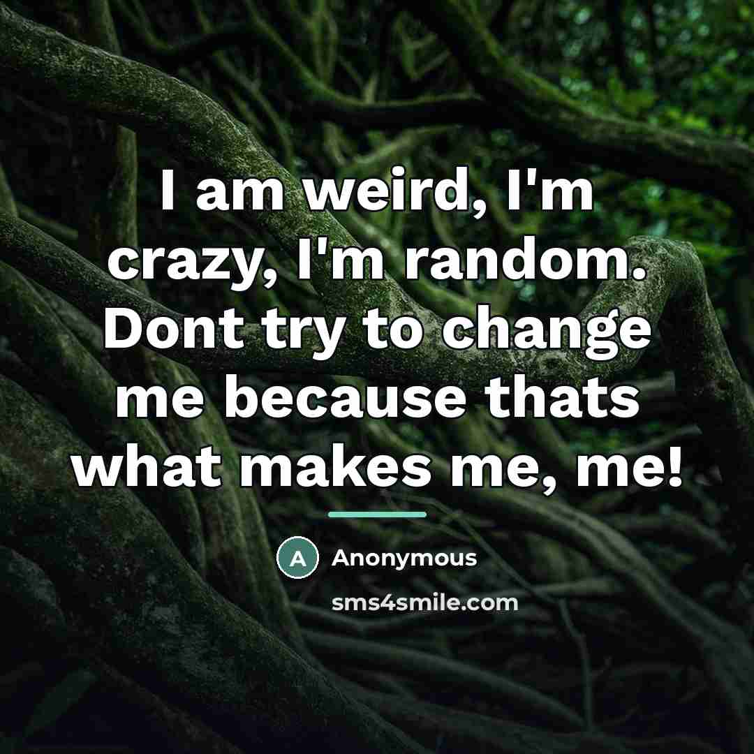 “I am weird, I'm crazy, I'm random. Dont try to…” quote by Anonymous