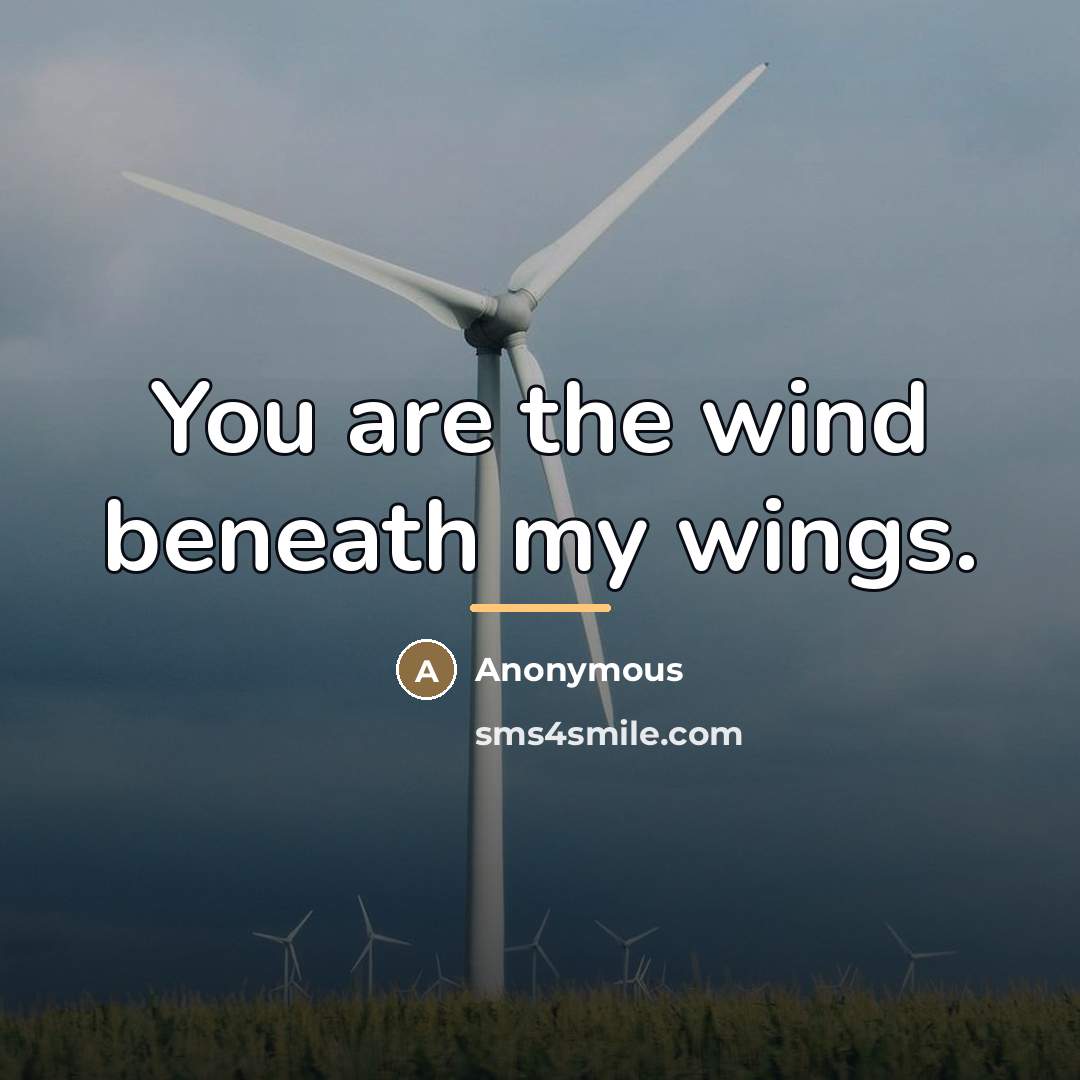 “You are the wind beneath my wings.…” quote by Anonymous