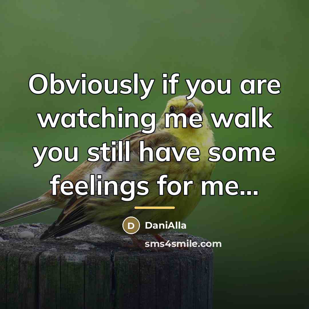 “Obviously if you are watching me walk you still have…” quote by DaniAlla