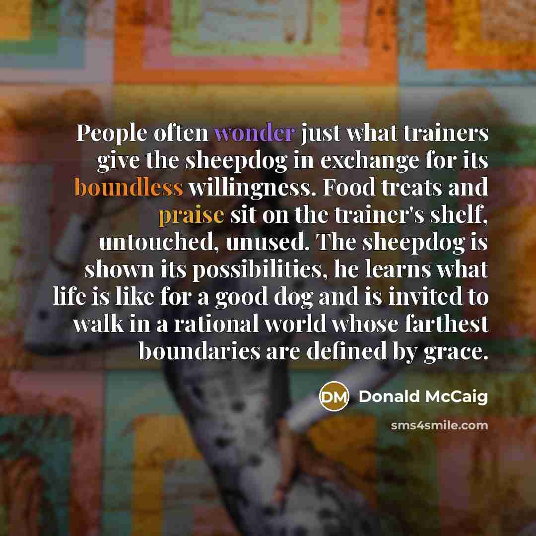 “People often wonder just what trainers give the sheepdog in…” quote by Donald McCaig