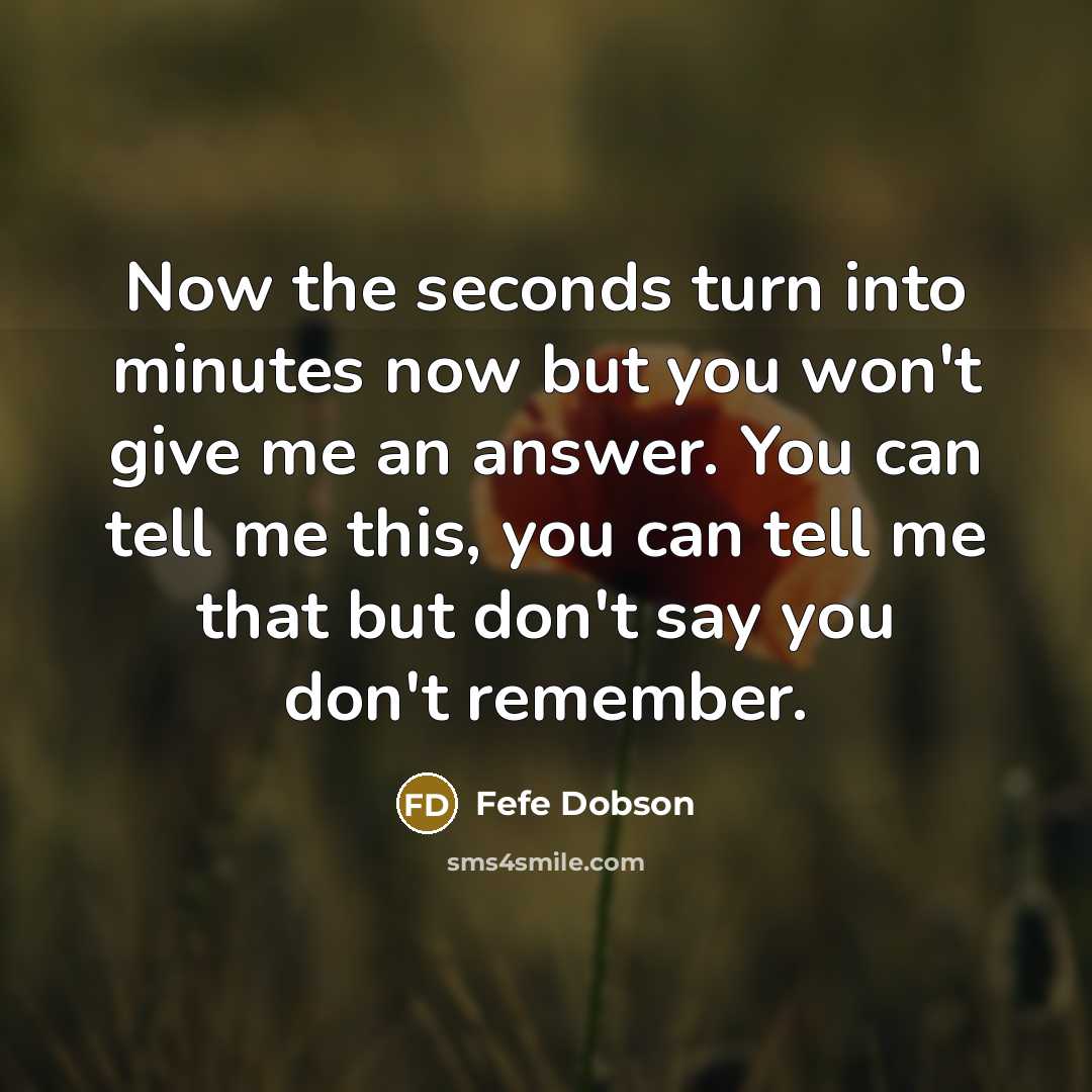 “Now the seconds turn into minutes now but you won't give me an answer. You can tell me this, you can tell me that but don't say you don't remember.” quote by Fefe Dobson