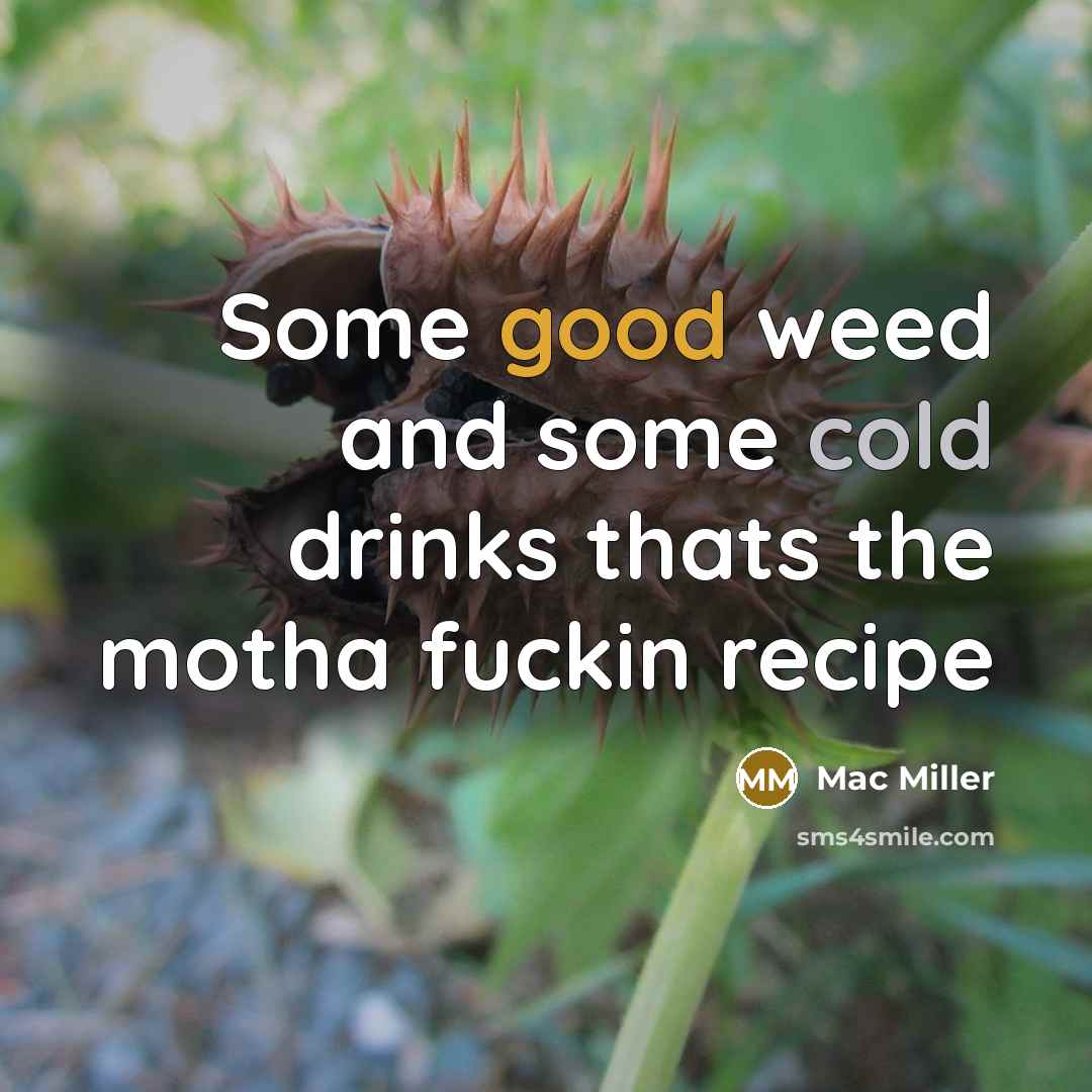 “Some good weed and some cold drinks thats the motha fuckin recipe” quote by Mac Miller