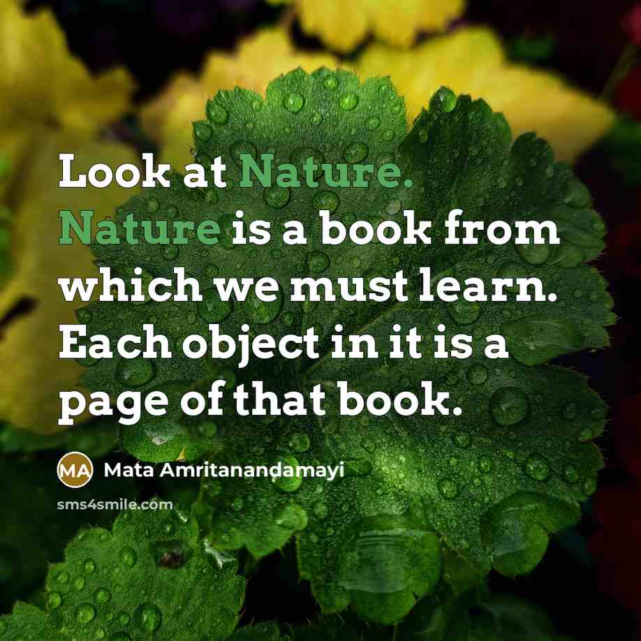“Look at Nature. Nature is a book from which we…” quote by Mata Amritanandamayi