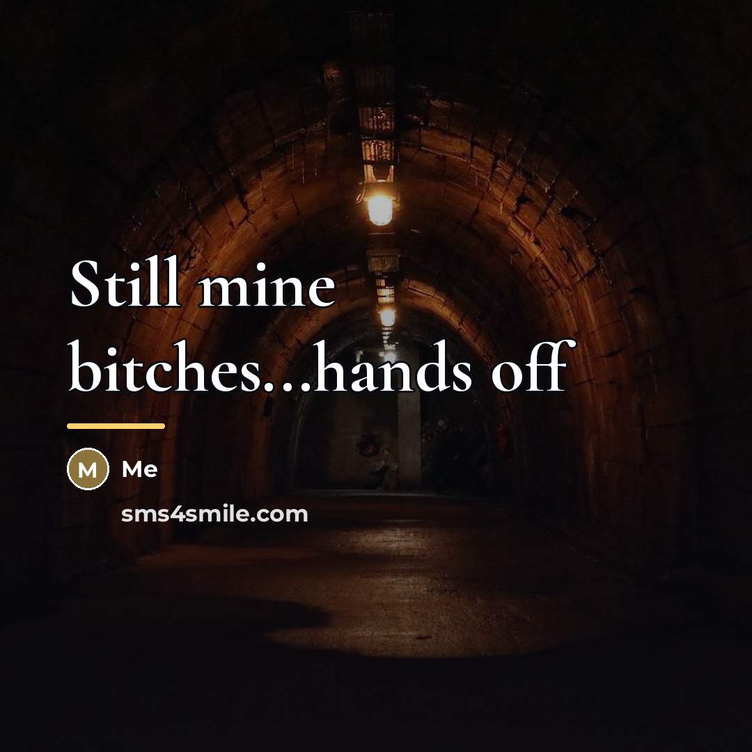 “Still mine bitches...hands off…” quote by Me