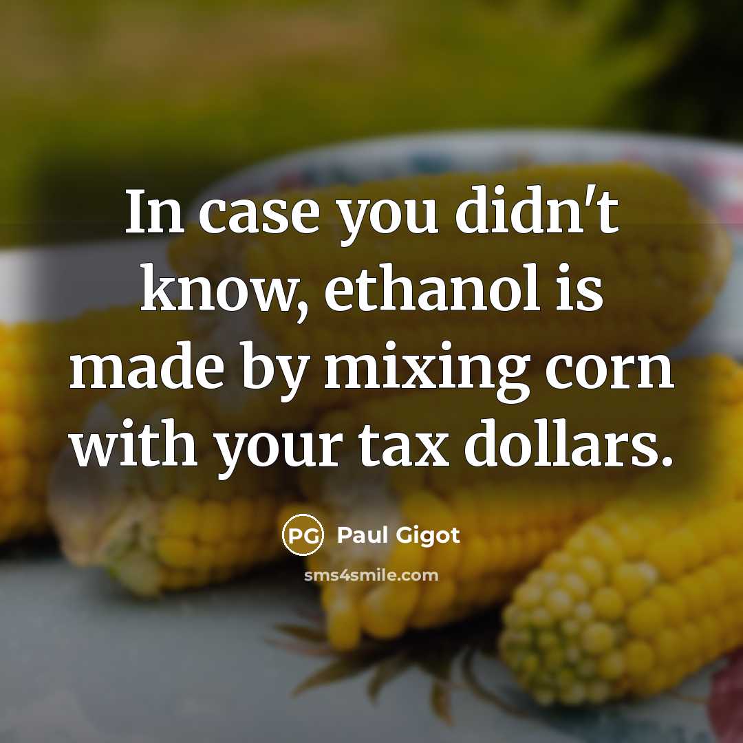 “In case you didn't know, ethanol is made by mixing…” quote by Paul Gigot
