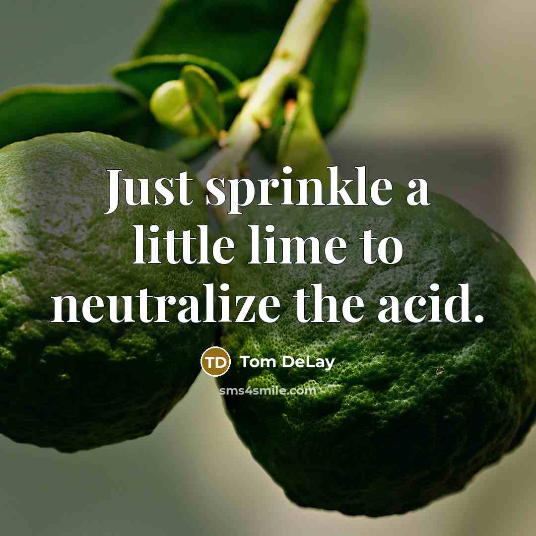 “Just sprinkle a little lime to neutralize the acid.…” quote by Tom DeLay