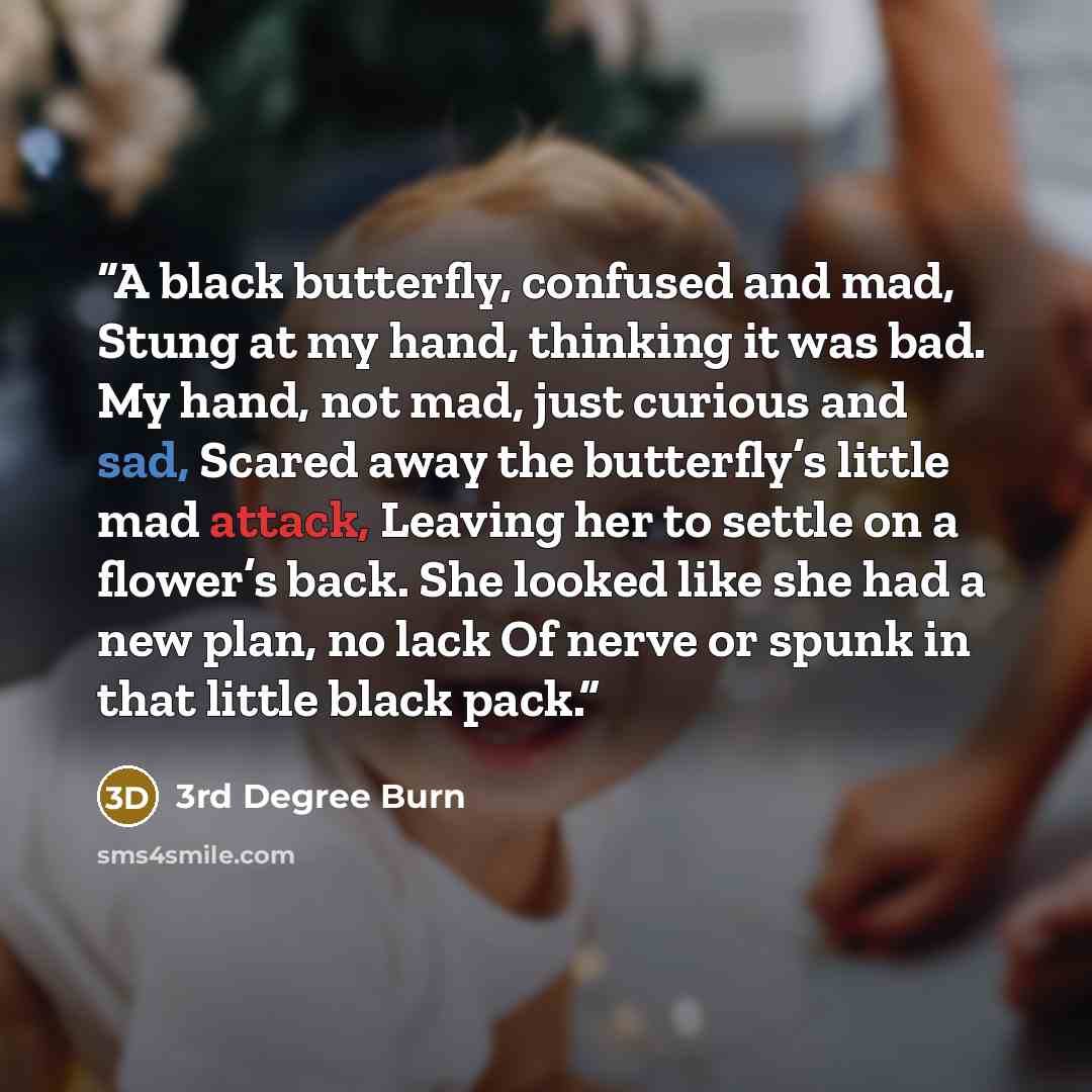 “A black butterfly, confused and mad, Stung at my hand, thinking it was bad. My hand, not mad, just curious and sad, Scared away the butterfly’s little mad attack, Leaving her to settle on a flower’s back. She looked like she had a new plan, no lack Of nerve or spunk in that little black pack.” quote by 3rd Degree Burn