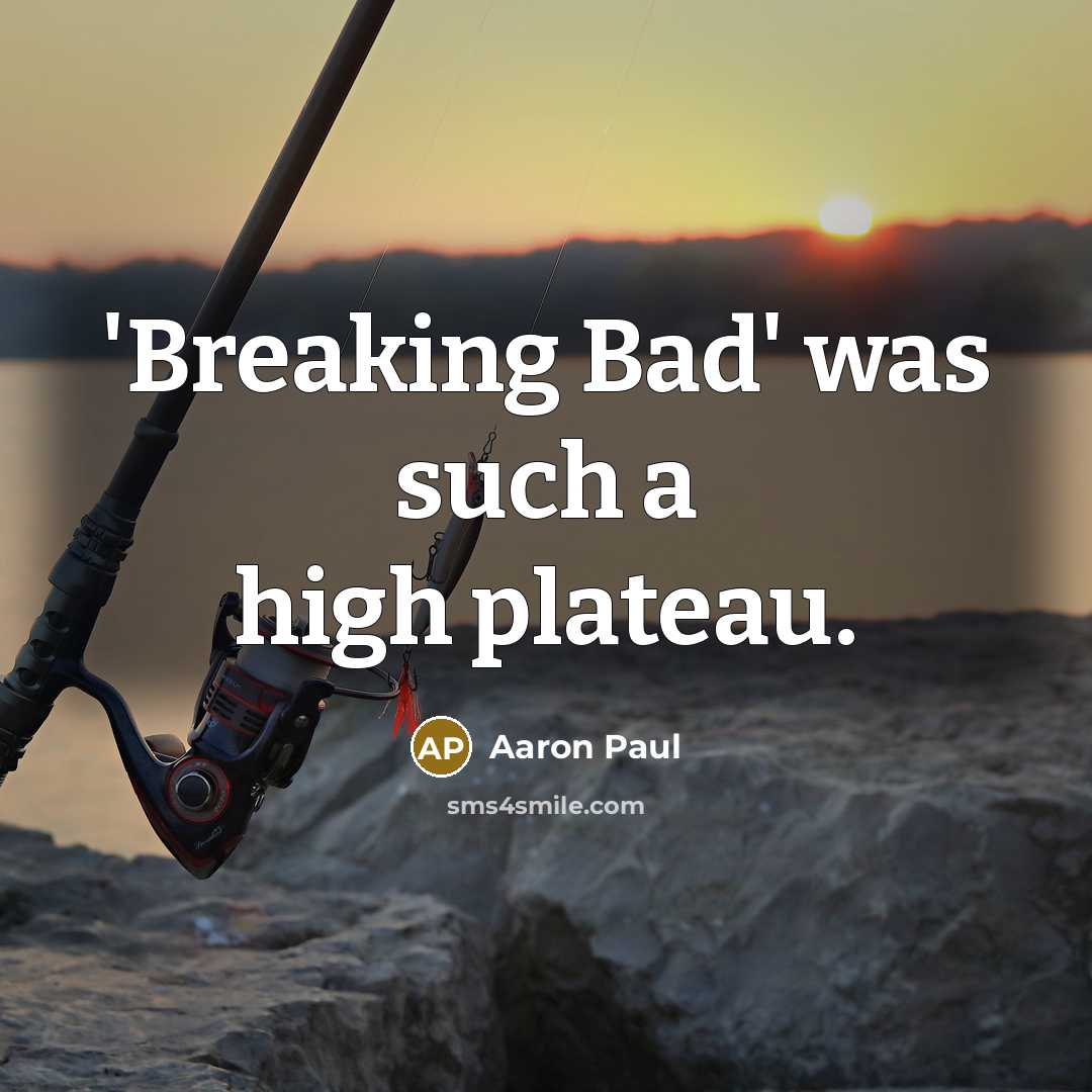 “'Breaking Bad' was such a high plateau.…” quote by Aaron Paul