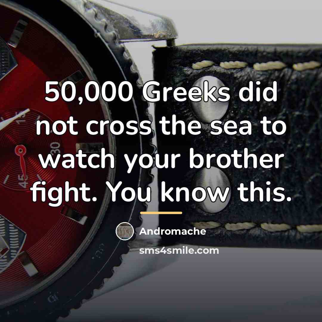 “50,000 Greeks did not cross the sea to watch your…” quote by Andromache