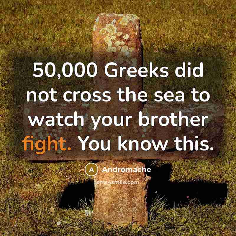 “50,000 Greeks did not cross the sea to watch your brother fight. You know this.” quote by Andromache