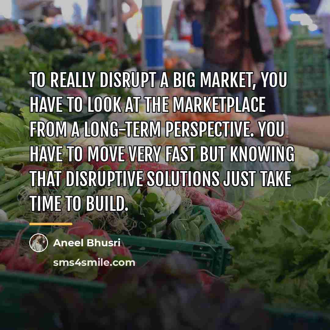 “To really disrupt a big market, you have to look…” quote by Aneel Bhusri