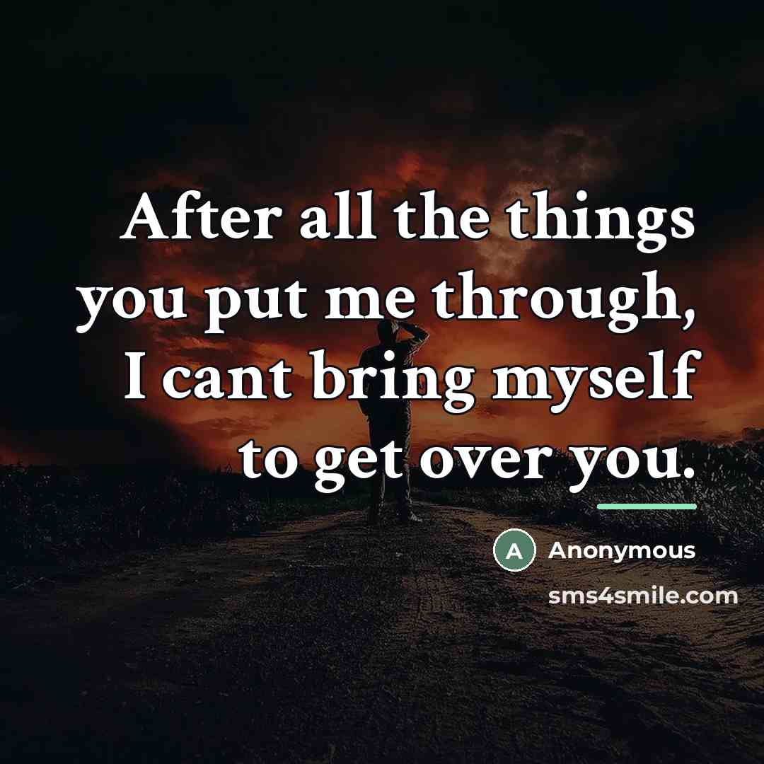 “After all the things you put me through, I cant…” quote by Anonymous