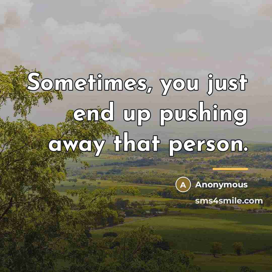 “Sometimes, you just end up pushing away that person.…” quote by Anonymous