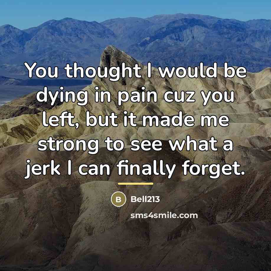 “You thought I would be dying in pain cuz you…” quote by Bell213