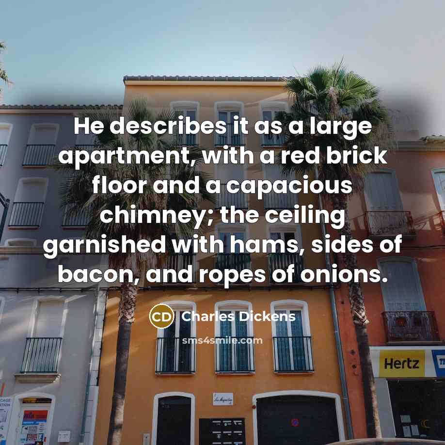 “He describes it as a large apartment, with a red…” quote by Charles Dickens