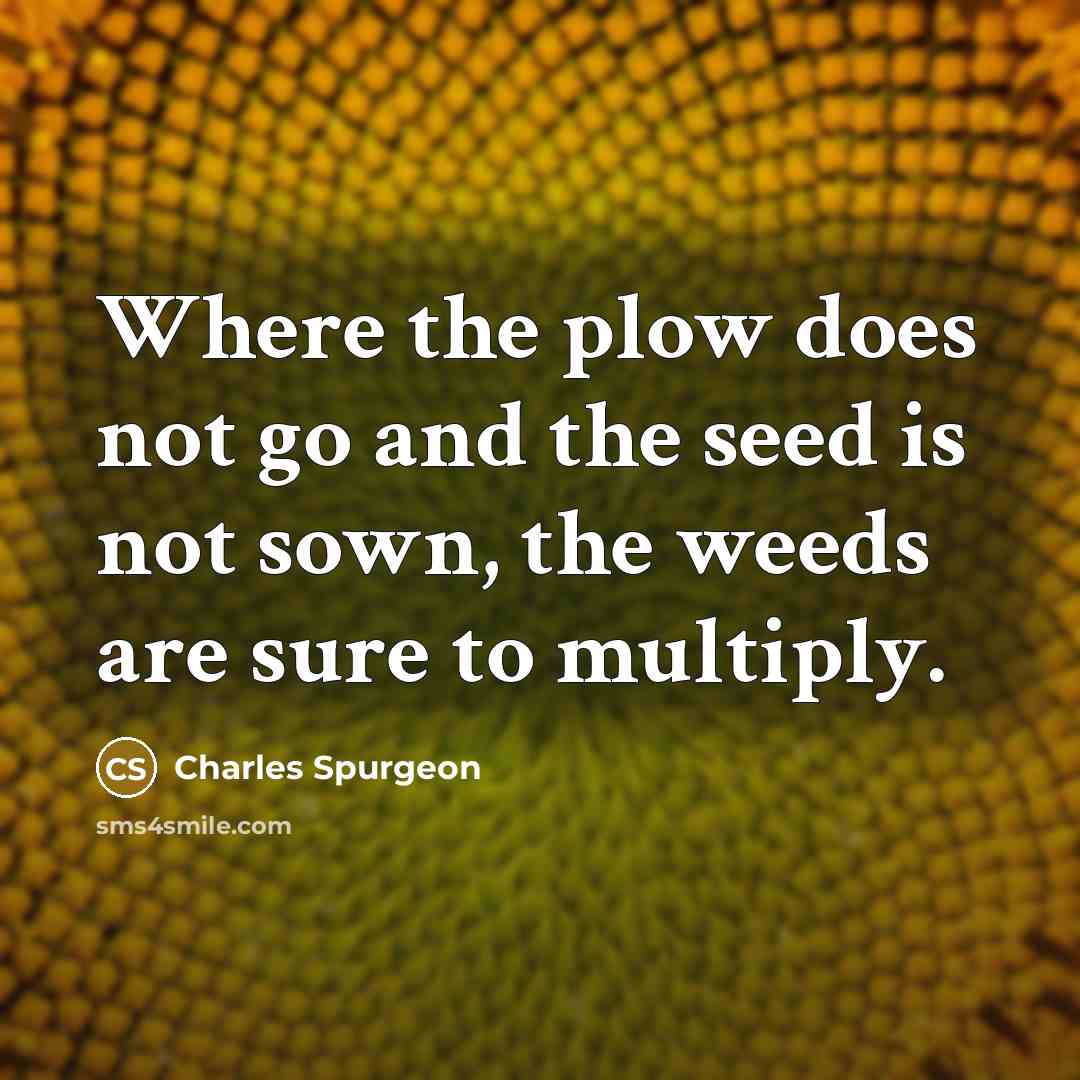 “Where the plow does not go and the seed is…” quote by Charles Spurgeon