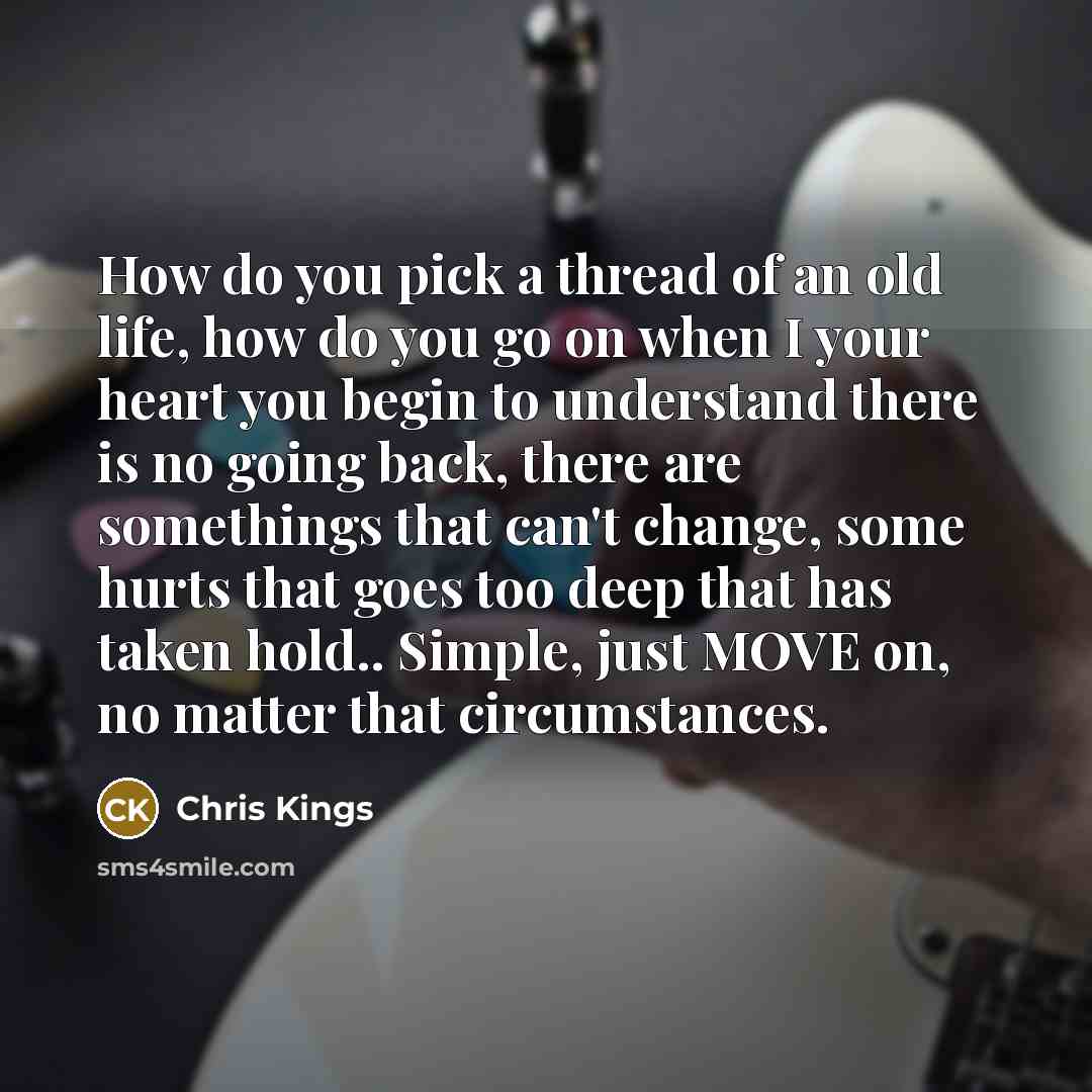 “How do you pick a thread of an old life,…” quote by Chris Kings