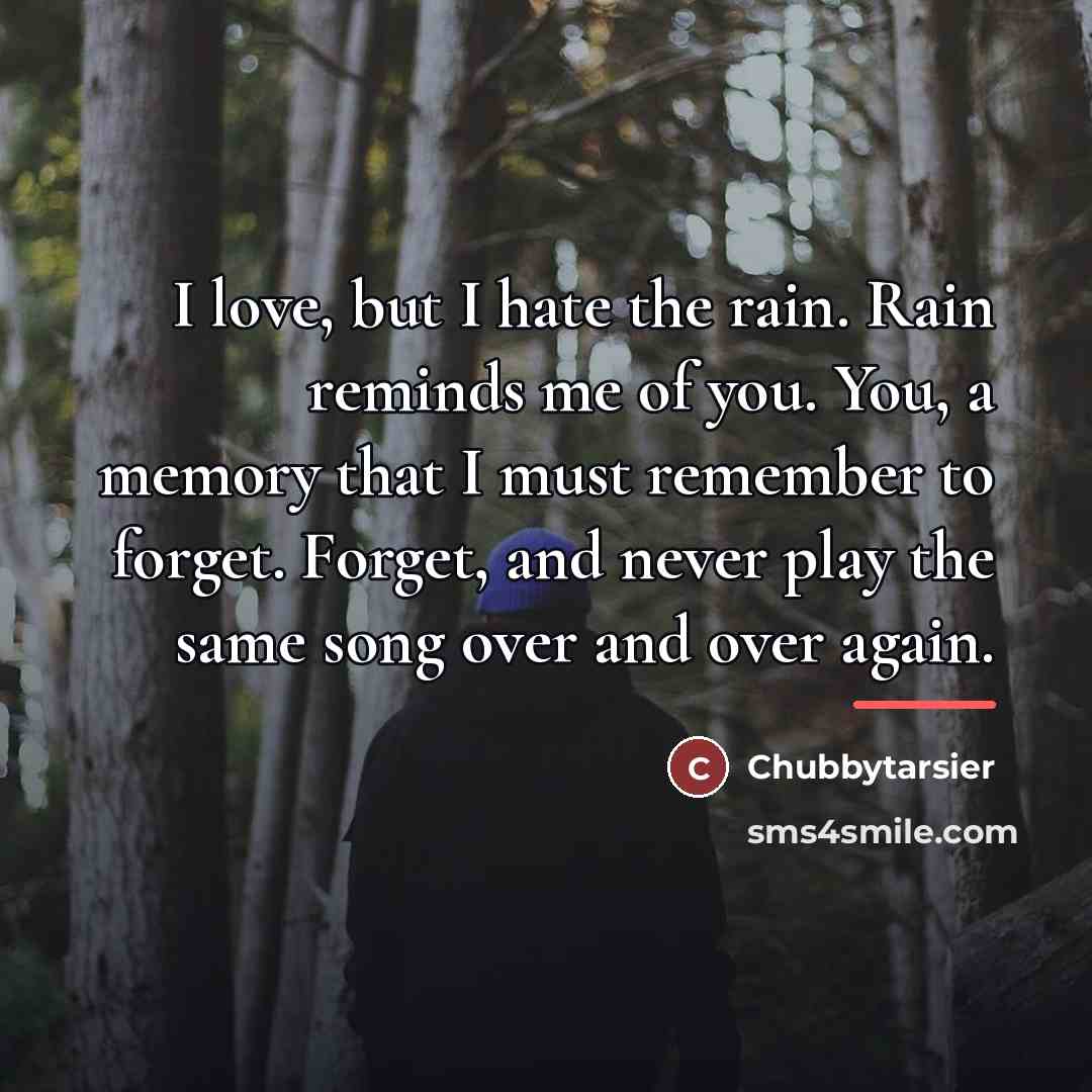 “I love, but I hate the rain. Rain reminds me…” quote by Chubbytarsier
