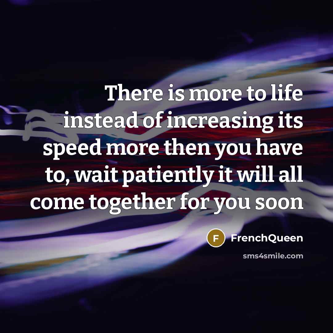 “There is more to life instead of increasing its speed…” quote by Frenchqueen