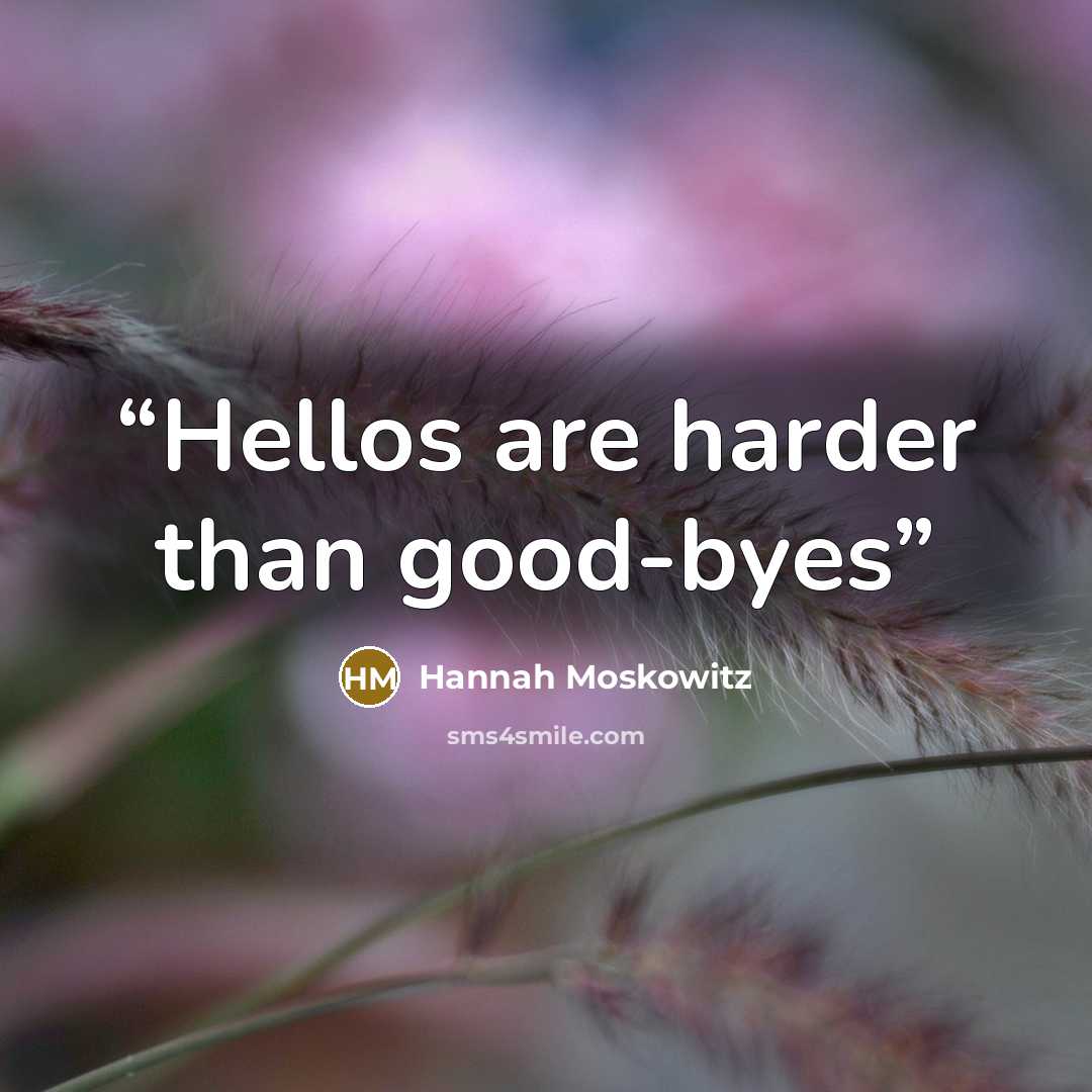 “Hellos are harder than good-byes” quote by Hannah Moskowitz